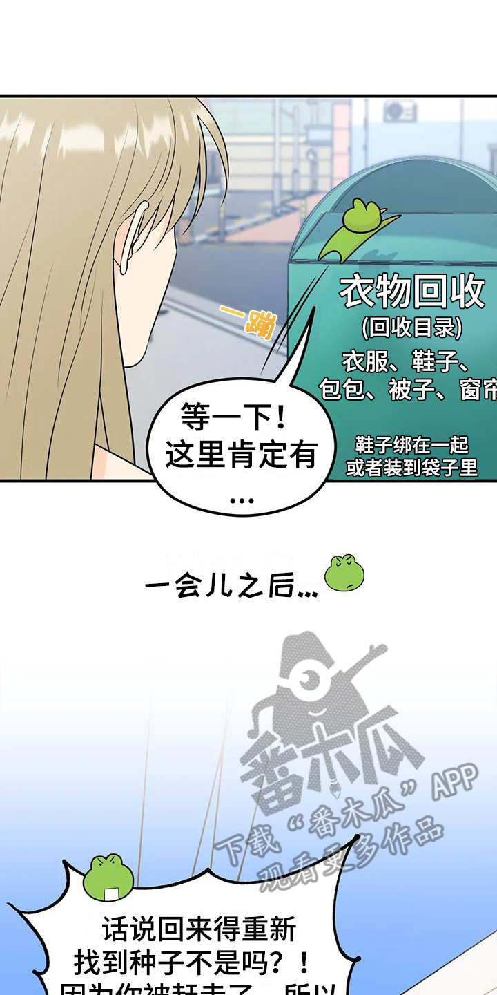 15.jpg