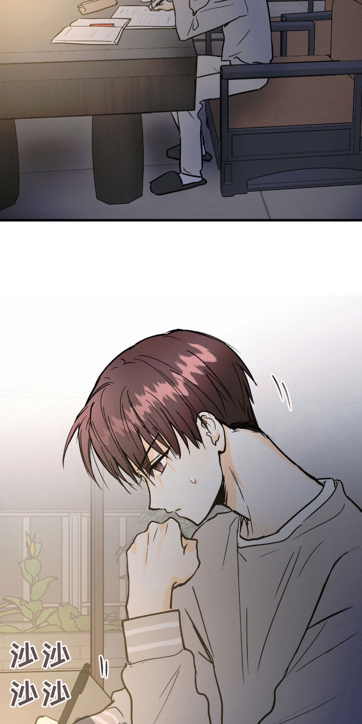 24.jpg