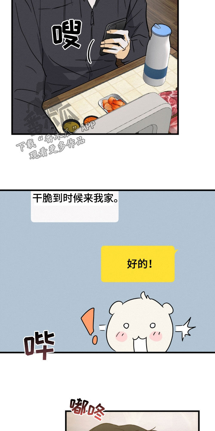 18.jpg
