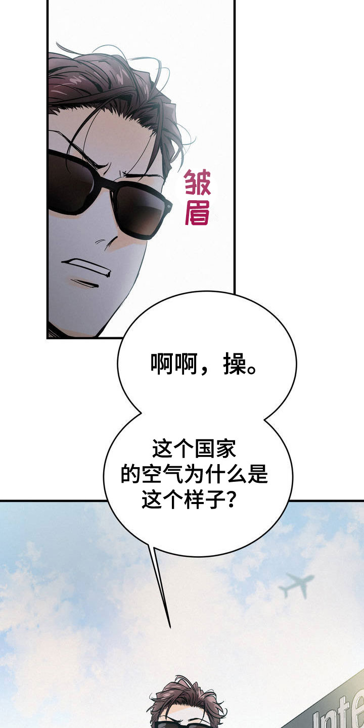 29.jpg