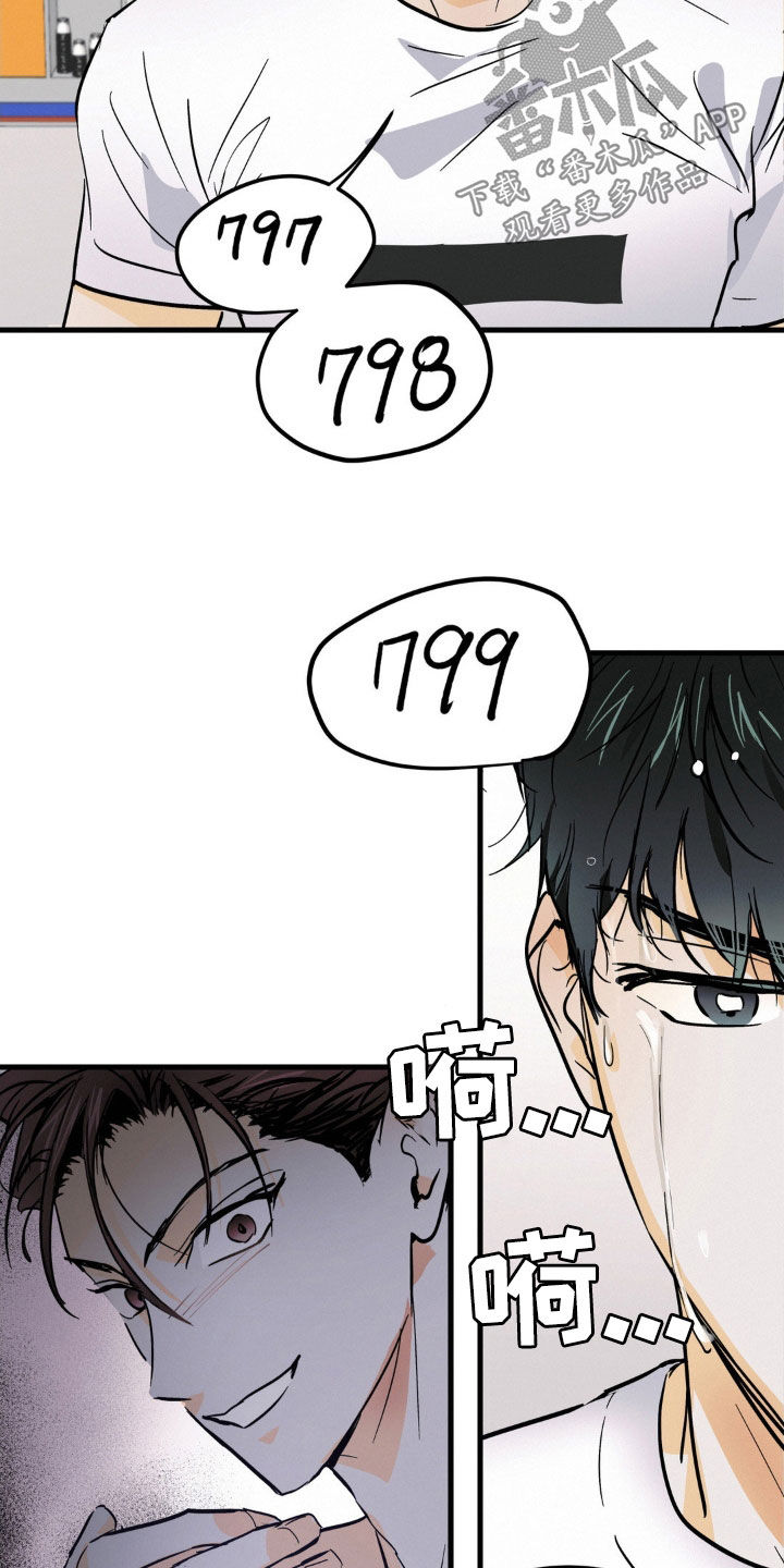23