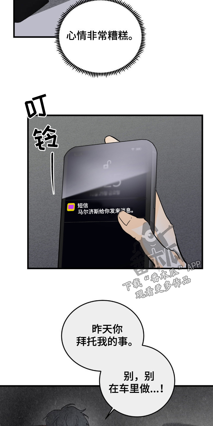 15.jpg