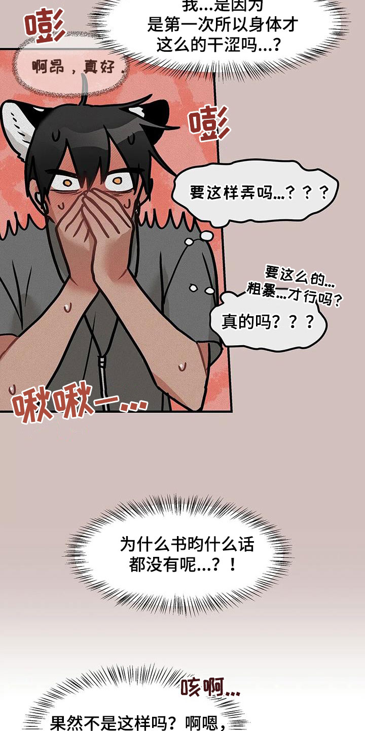 23.jpg