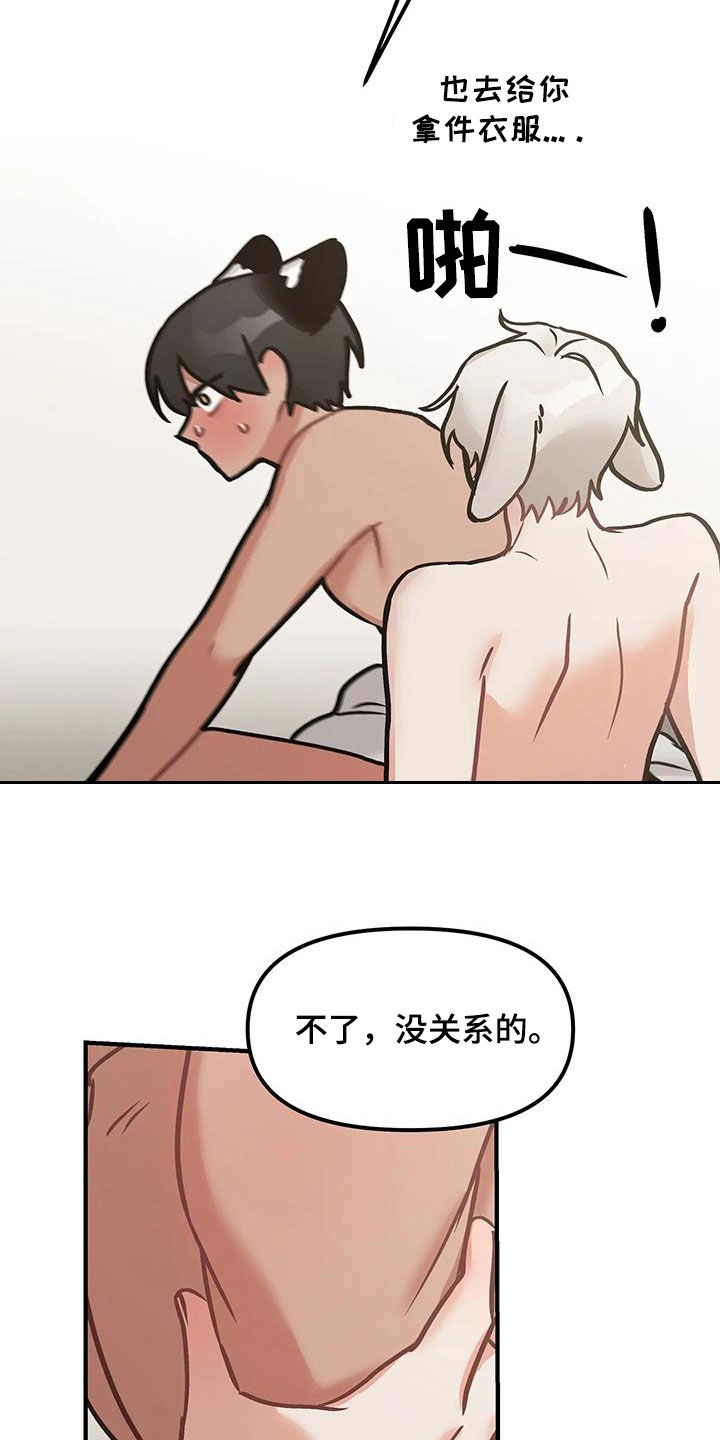 14.jpg