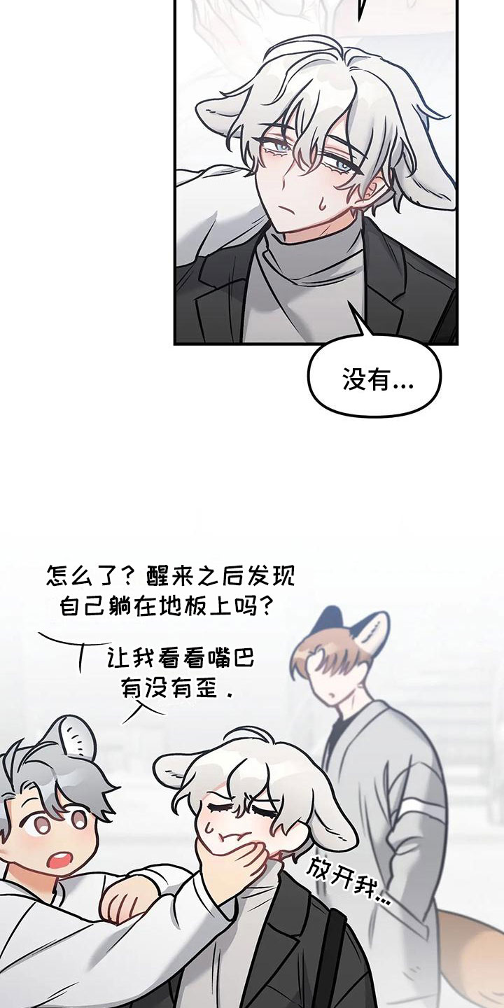 20.jpg