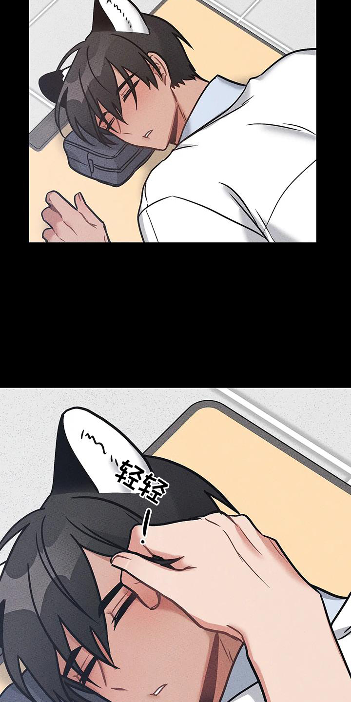 21.jpg