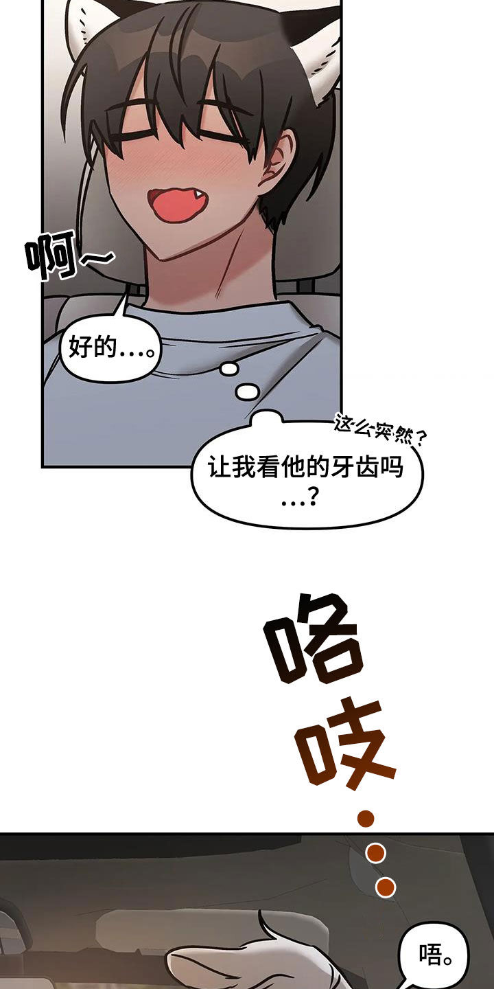 17.jpg