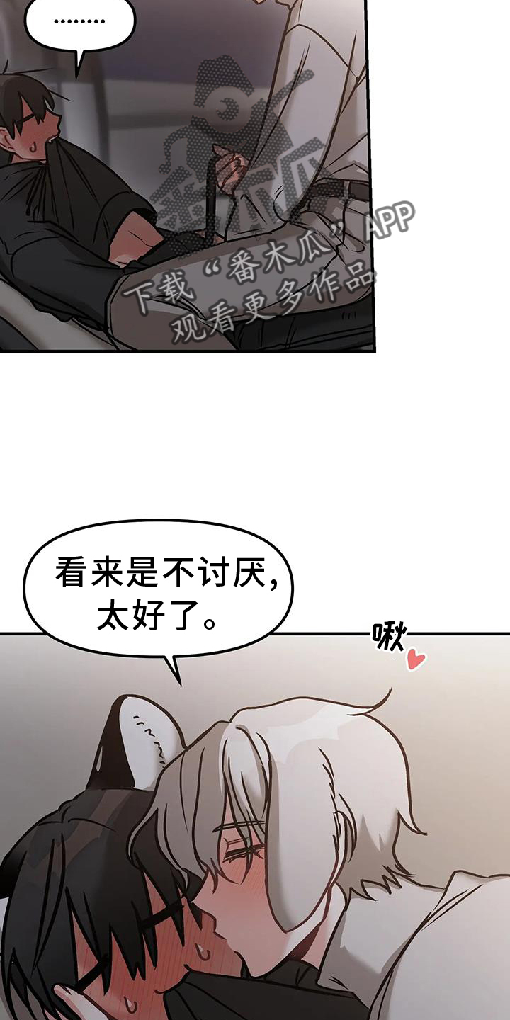 16.jpg