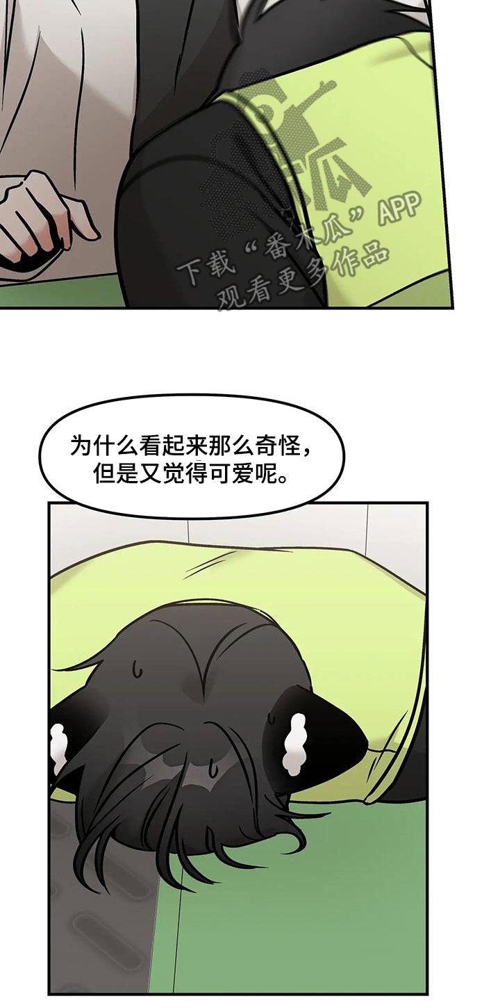 13.jpg