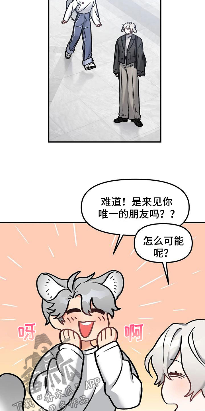 17.jpg
