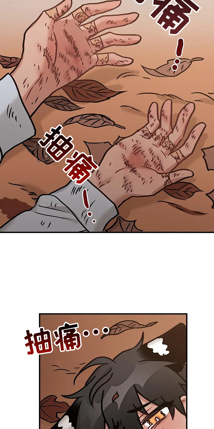 25.jpg
