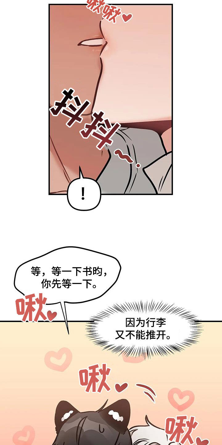 19.jpg