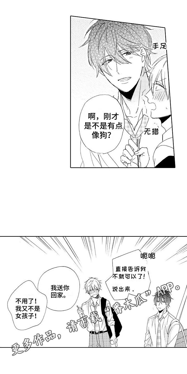 17