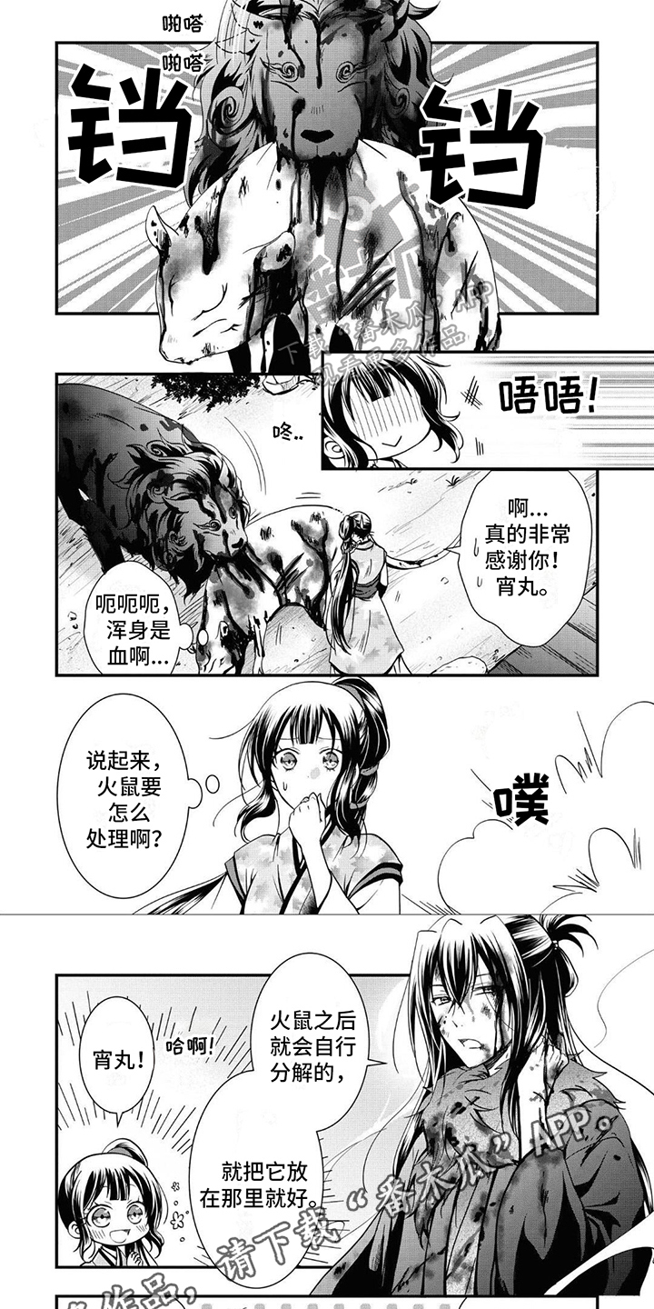 6