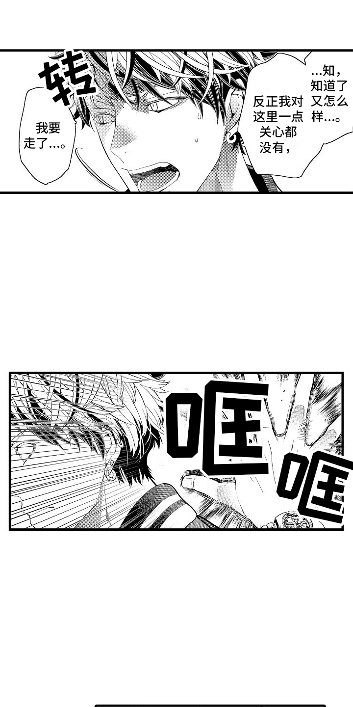 检测专员