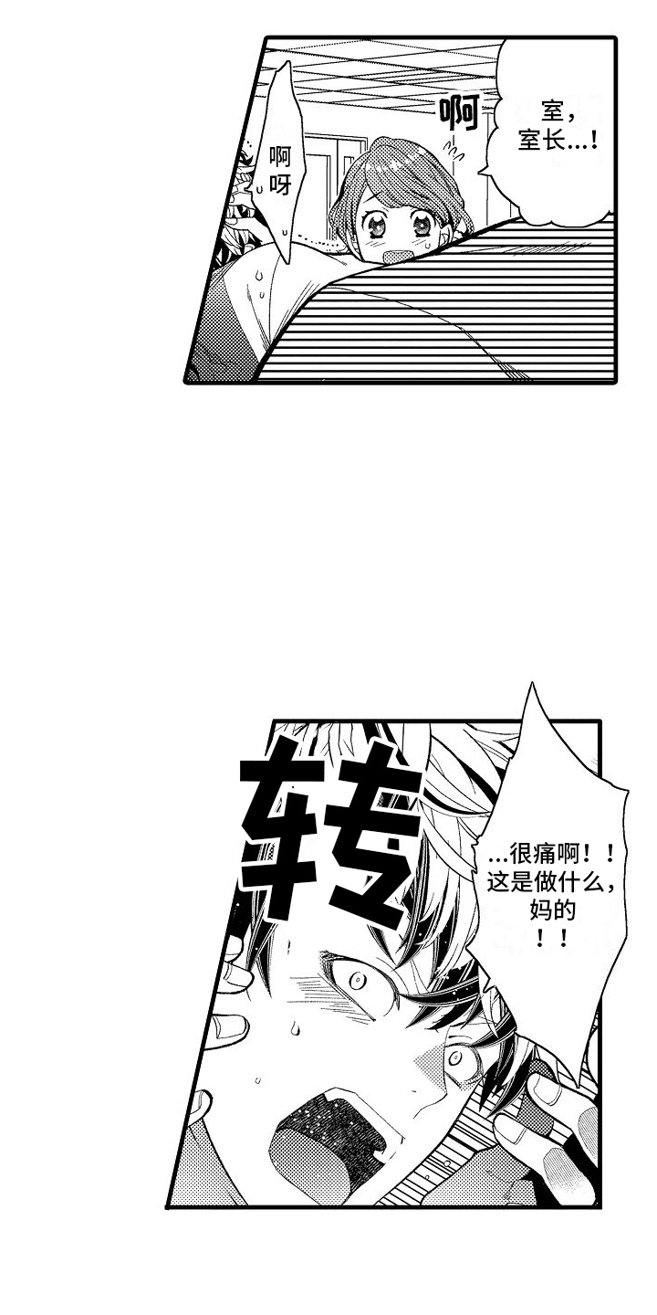 检测专员