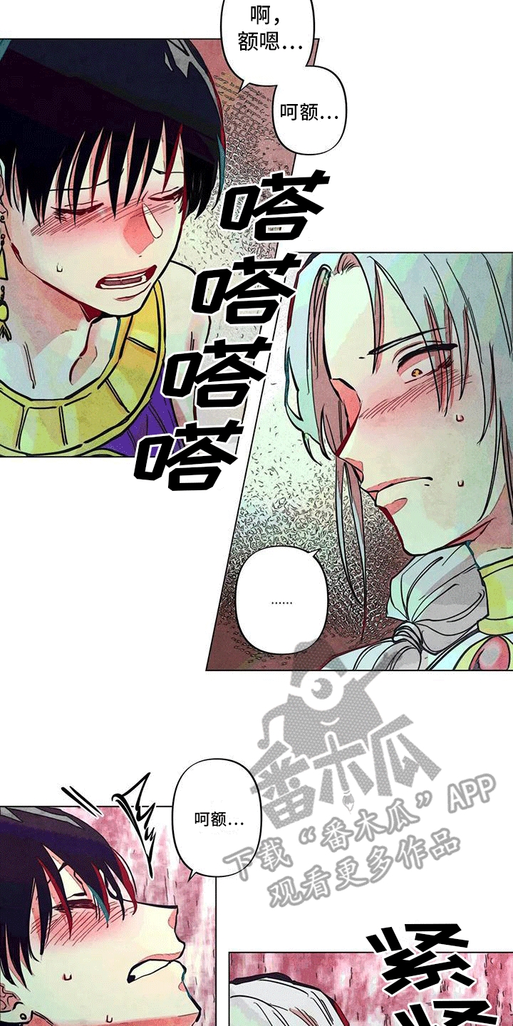 8.jpg