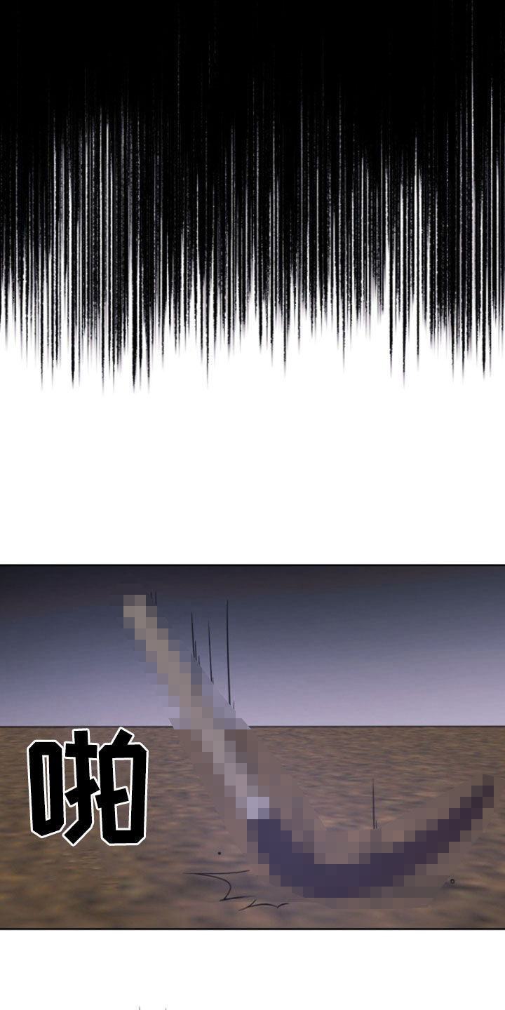 25.jpg
