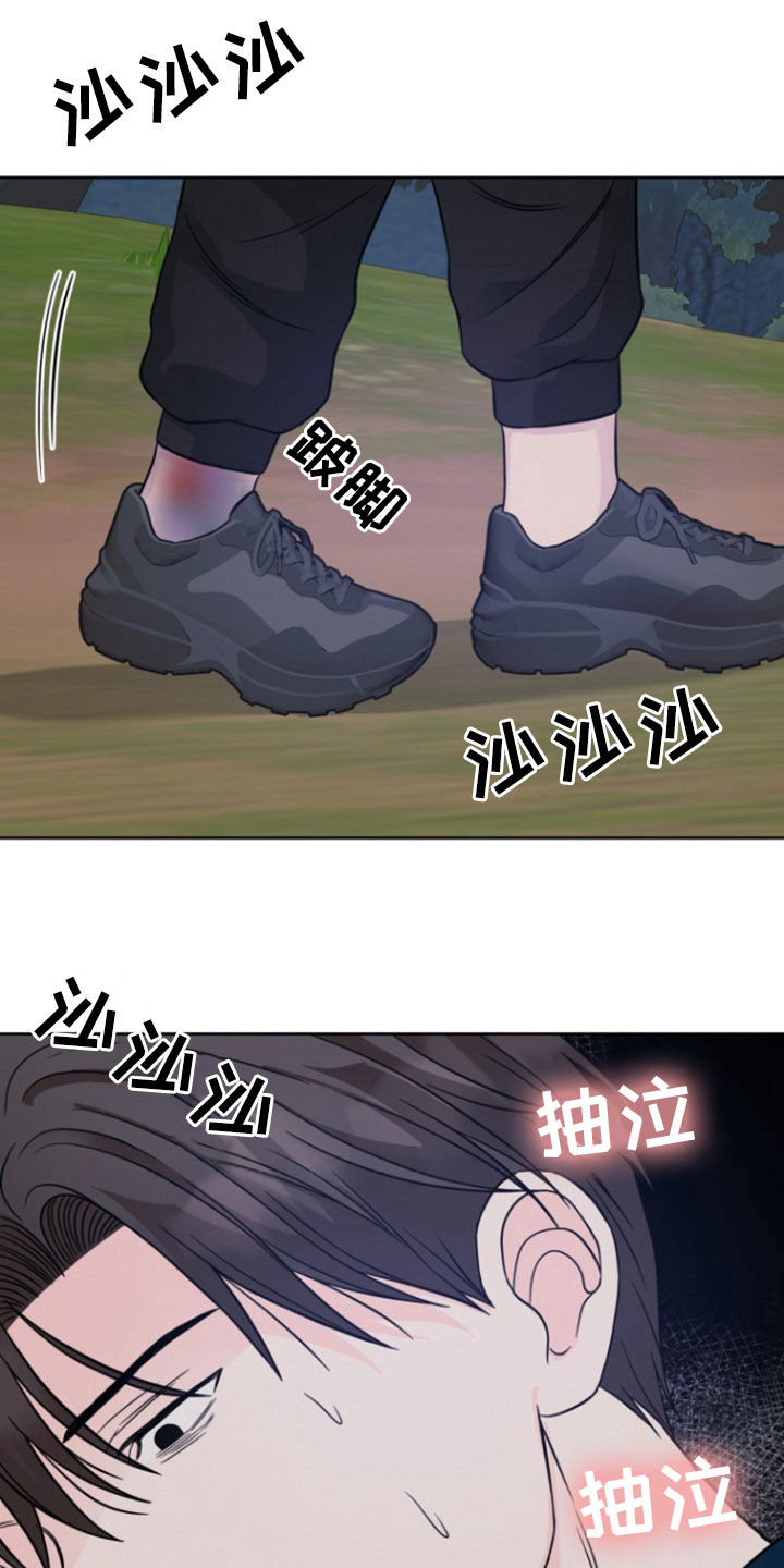 17.jpg