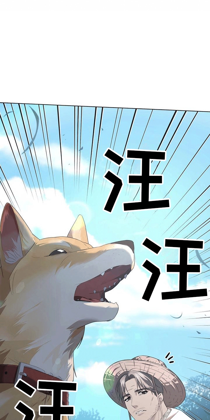 40