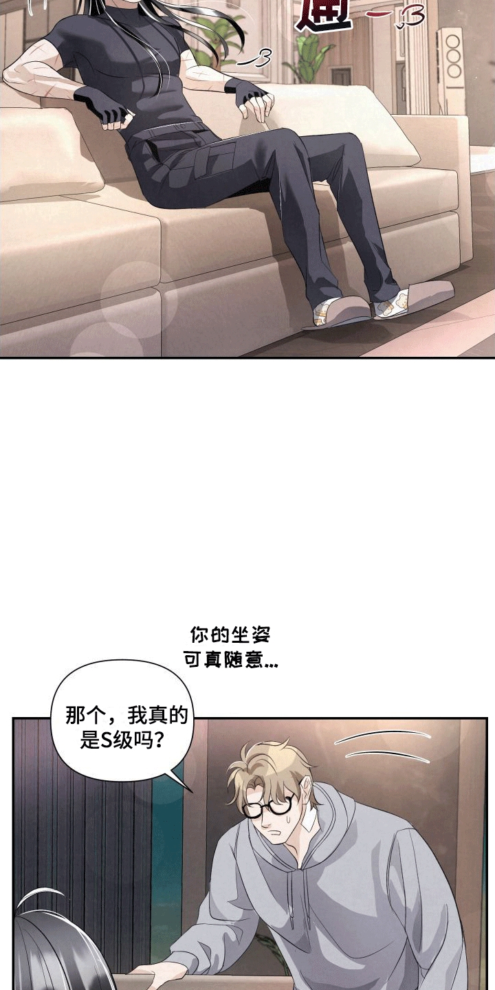 21.jpg