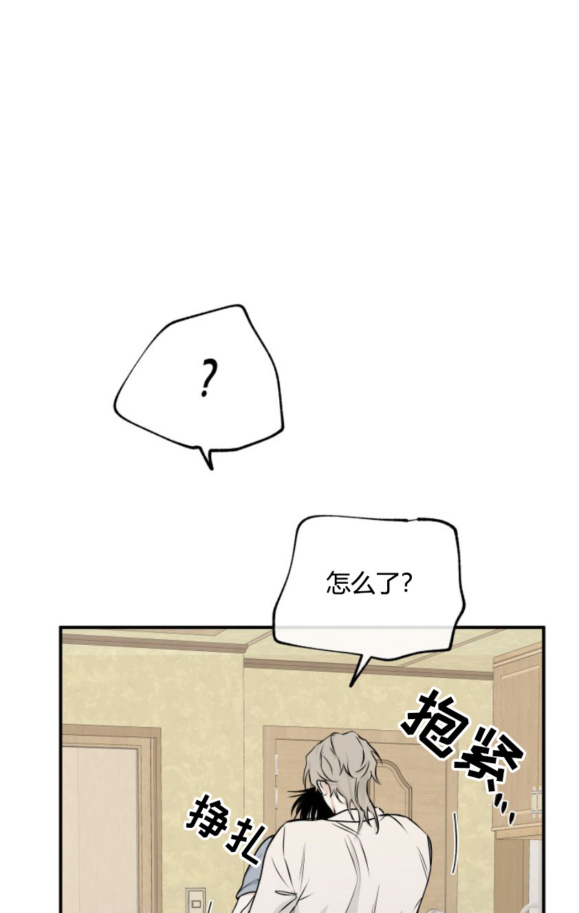 27.jpg