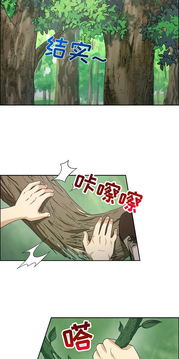 15.jpg