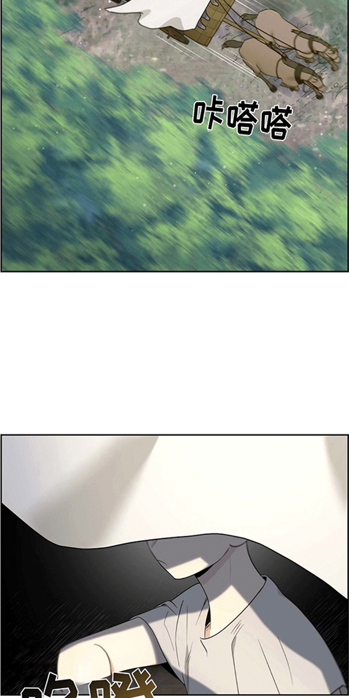 29.jpg