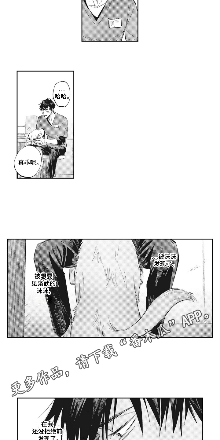 11.jpg