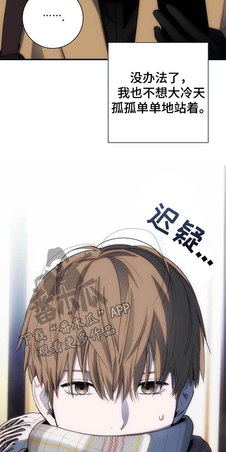 15.jpg