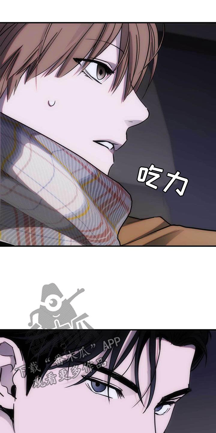 20.jpg