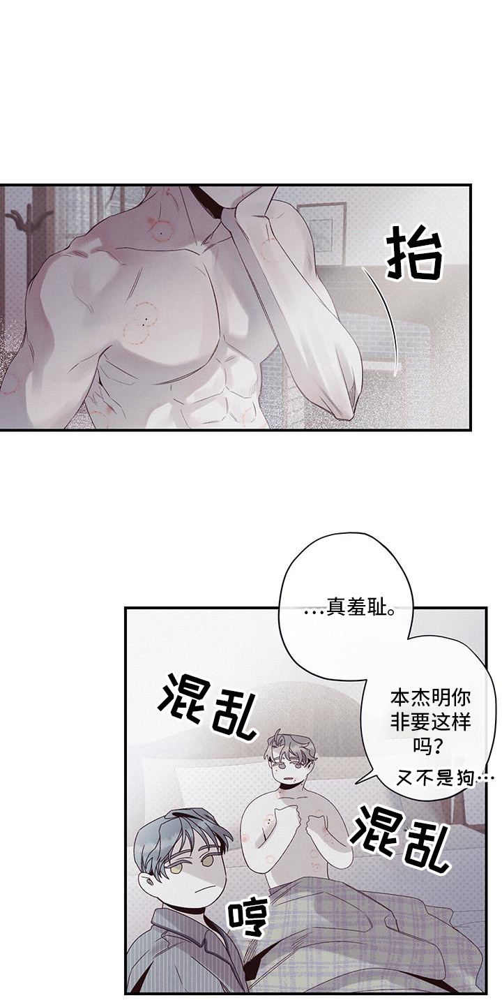 17