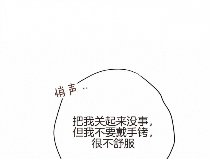 61.jpg