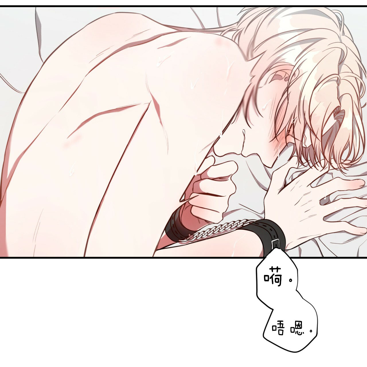 41