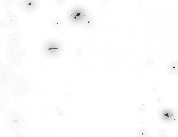 46