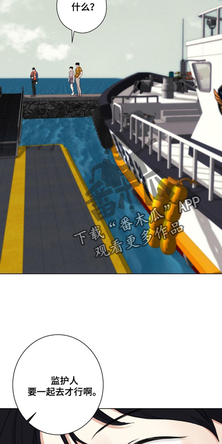 31.jpg