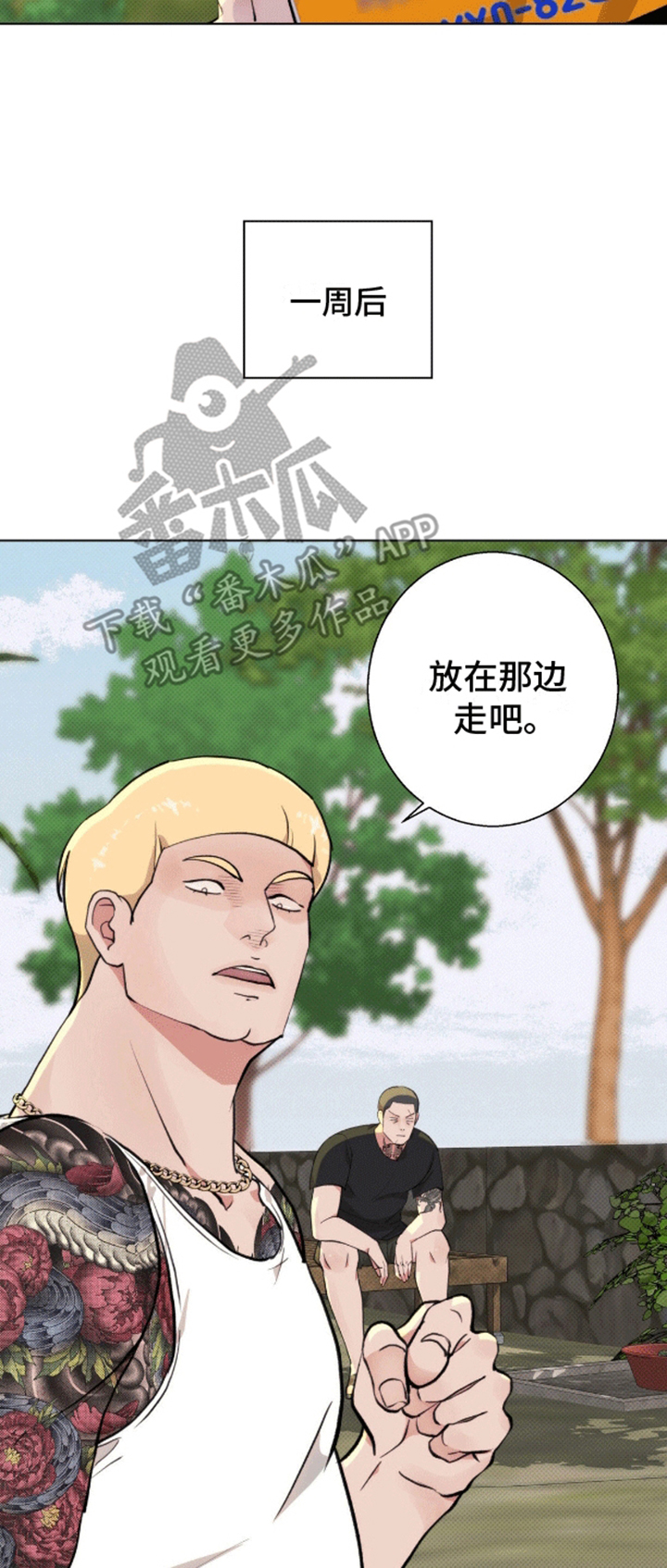 10.jpg