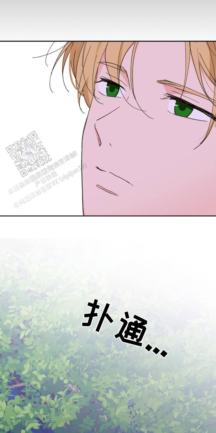 23.jpg