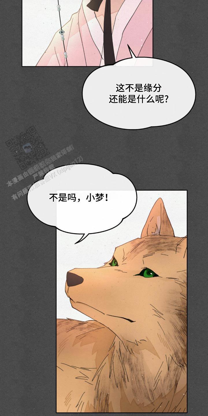 20.jpg