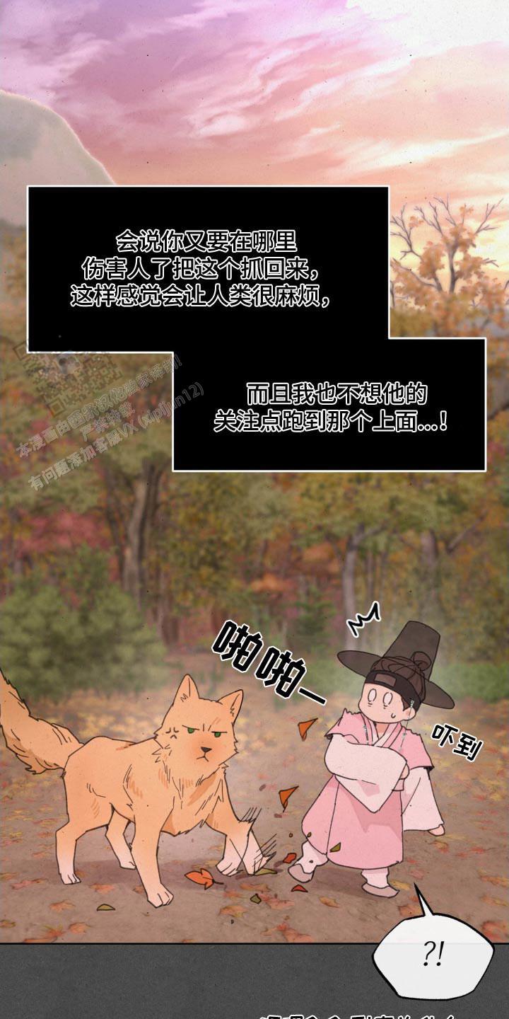 23.jpg