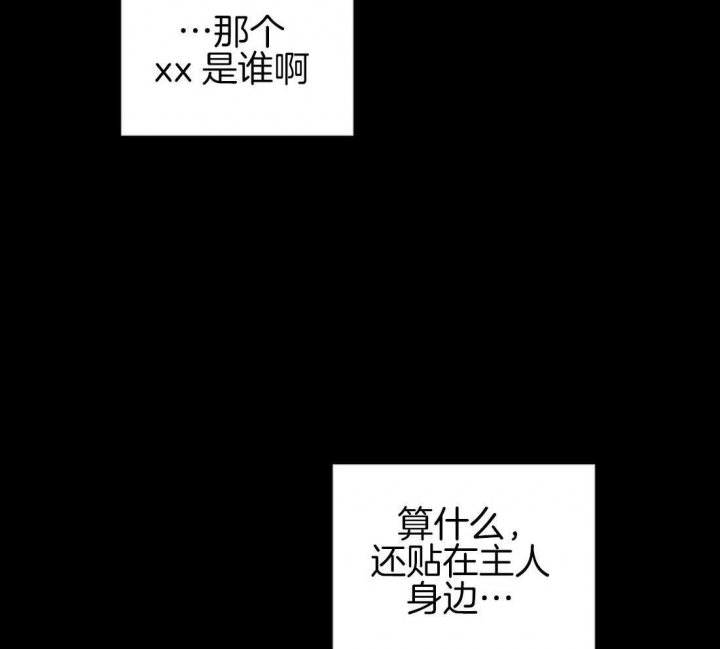 107.jpg