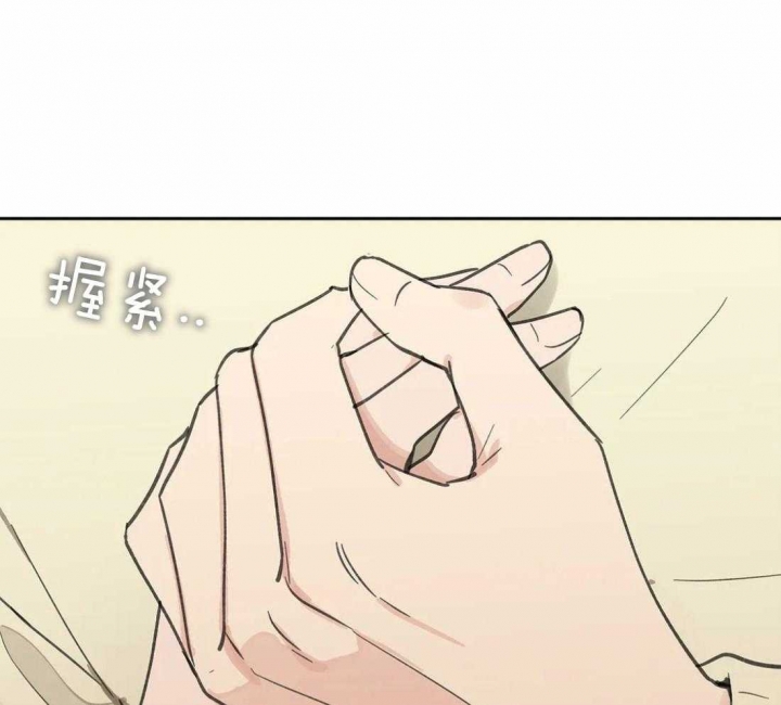 81