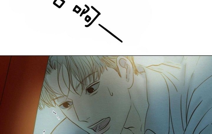 213.jpg