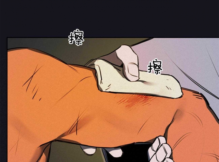 41