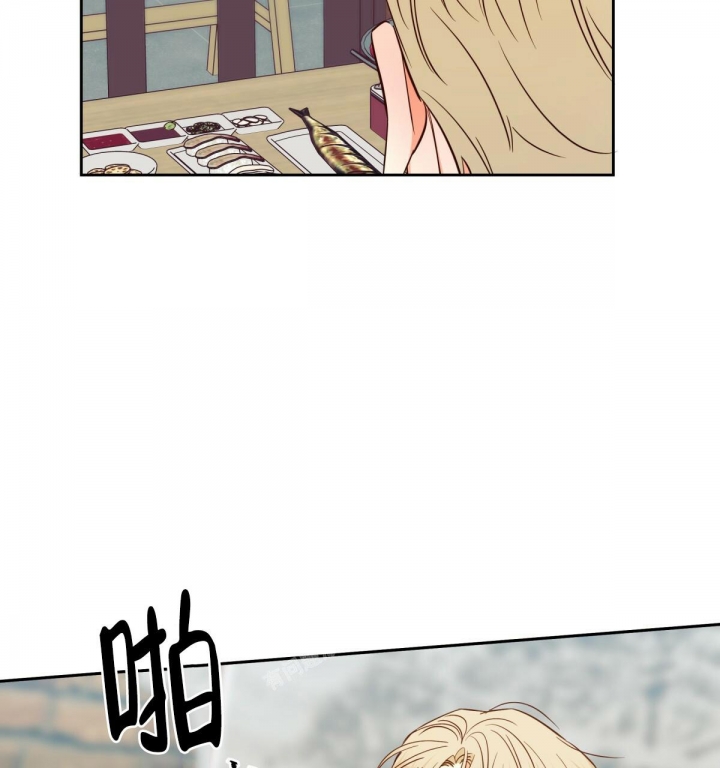 64.jpg