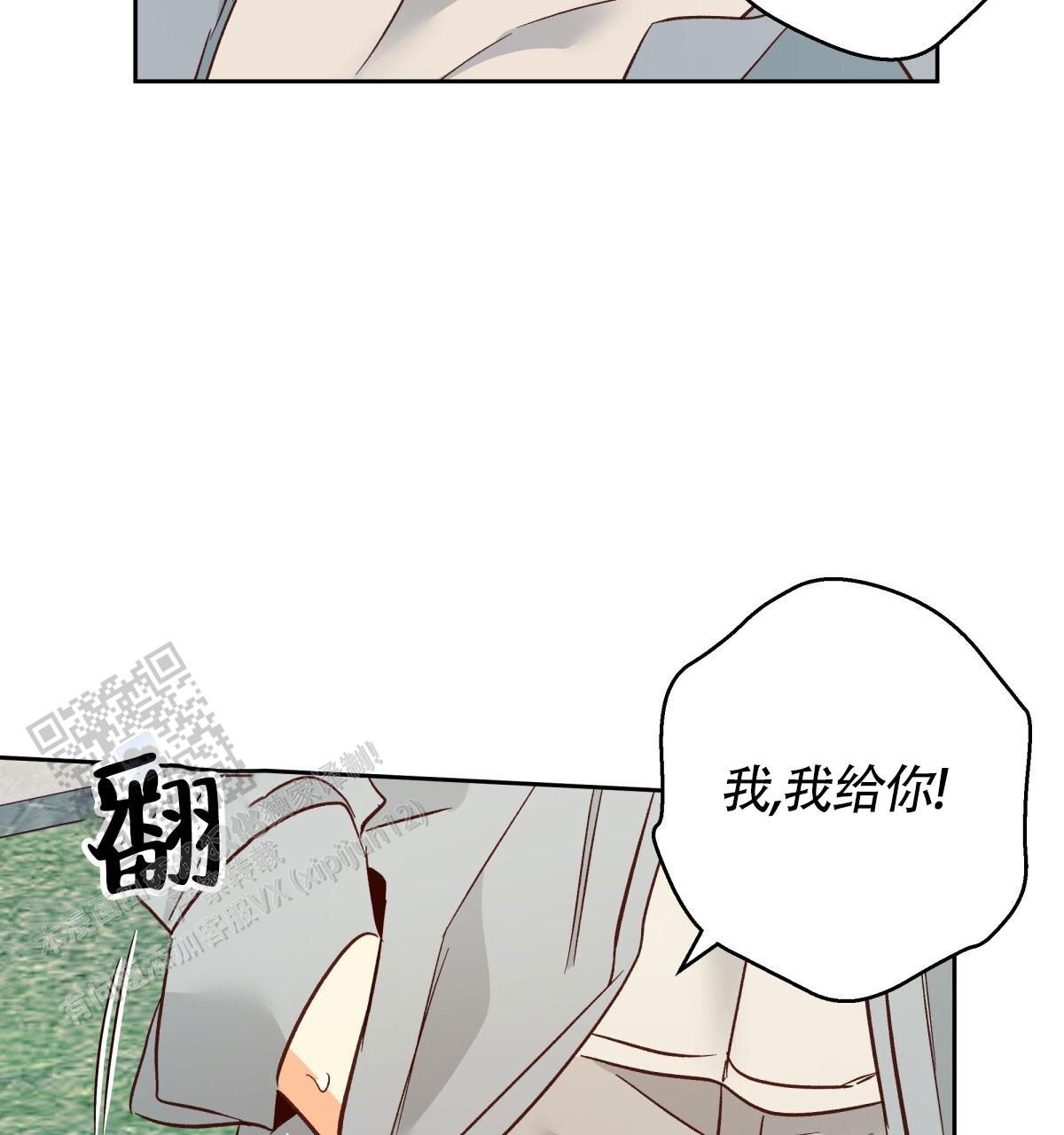 35.jpg