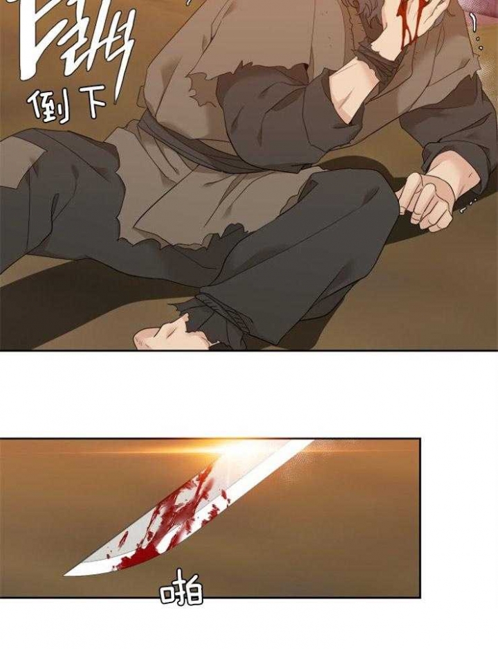 27.jpg