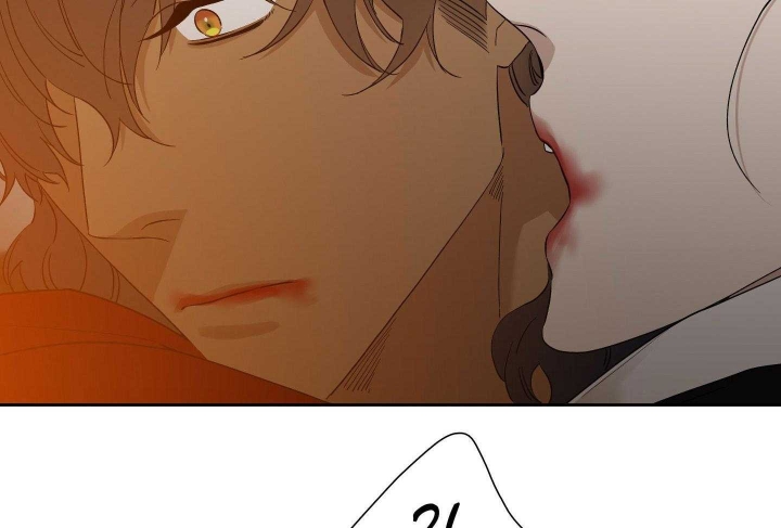 62.jpg