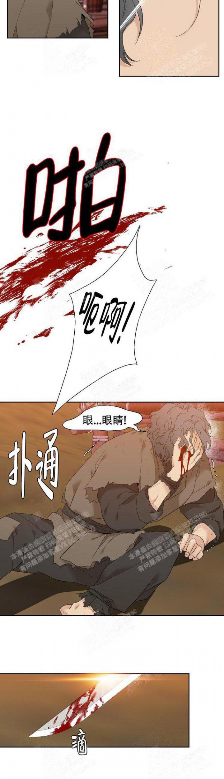20.jpg