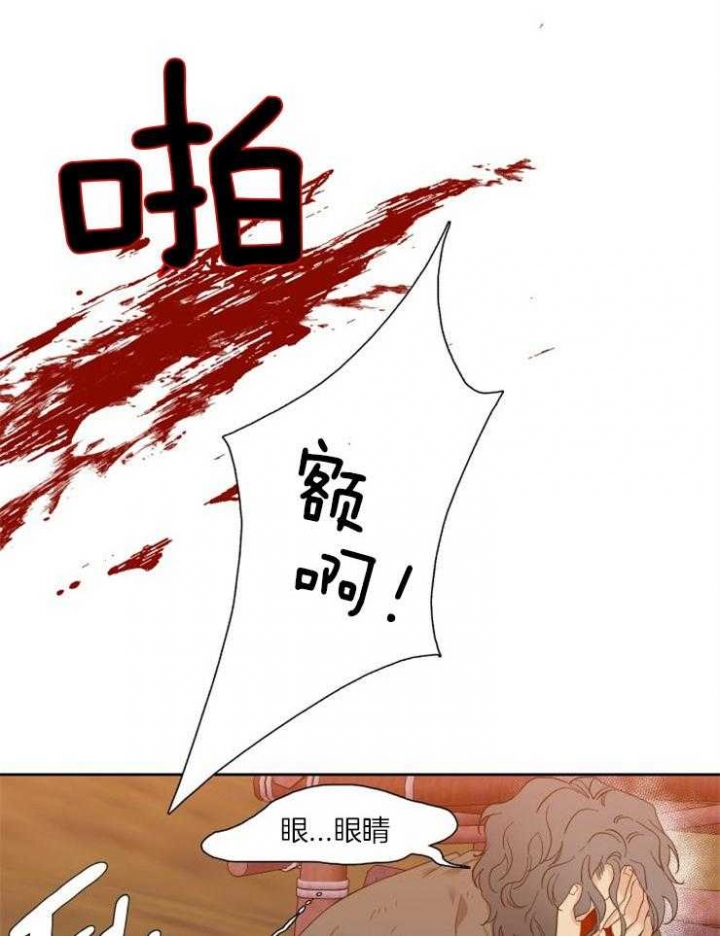 26.jpg